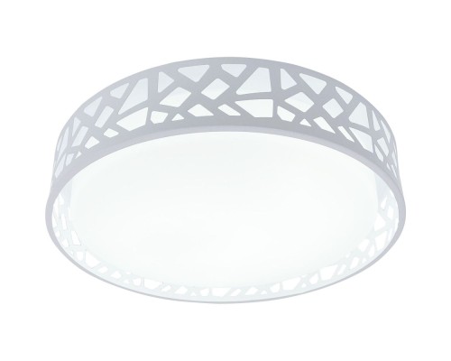 Потолочный светильник Leone TL1205X-72WH TopLight