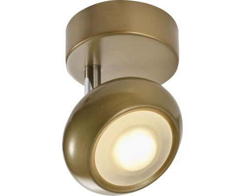 Спот Carissa TL1244Y-01SG TopLight Спот Carissa TL1244Y-01SG TopLight
