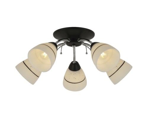 Потолочная люстра Winnifred TL1255D-05BC TopLight Потолочная люстра Winnifred TL1255D-05BC TopLight