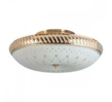 Потолочная люстра Loreen TL1492Y-05GC TopLight