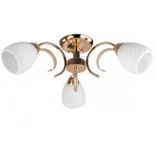 Потолочная люстра Lenore TL3530X-03FG TopLight