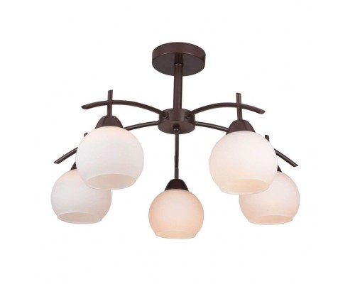 Потолочная люстра Molly TL3770X-05DB TopLight Потолочная люстра Molly TL3770X-05DB TopLight