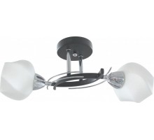 Потолочная люстра Lia TL7380X-02BC TopLight