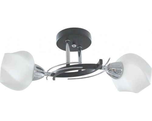 Потолочная люстра Lia TL7380X-02BC TopLight Потолочная люстра Lia TL7380X-02BC TopLight