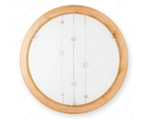 Настенно-потолочный светильник Madison TL9033Y-02PN TopLight Настенно-потолочный светильник Madison TL9033Y-02PN TopLight