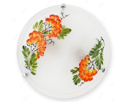Настенно-потолочный светильник Pirolf TL9351Y-02WH TopLight Настенно-потолочный светильник Pirolf TL9351Y-02WH TopLight