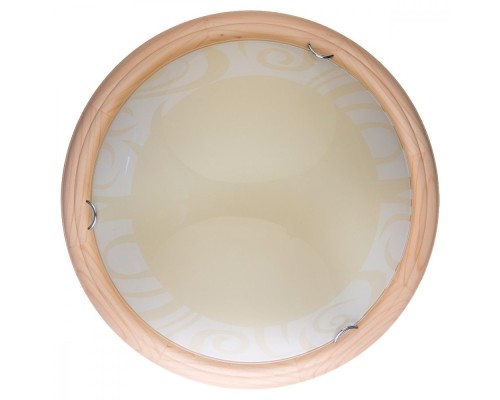 Настенно-потолочный светильник Ginger TL9620Y-00PN TopLight Настенно-потолочный светильник Ginger TL9620Y-00PN TopLight