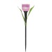 Грунтовый светильник USL-C-451/PT305 PINK TULIP Uniel