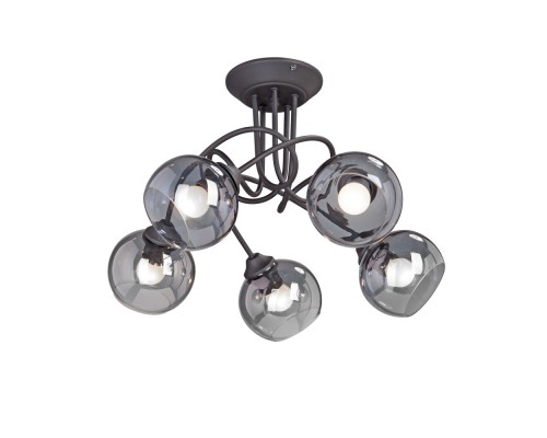 Потолочная люстра V4309-1/5PL Vitaluce Потолочная люстра V4309-1/5PL Vitaluce
