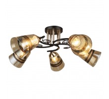 Потолочная люстра Спинея 66372.01.69.05 Wedo Light