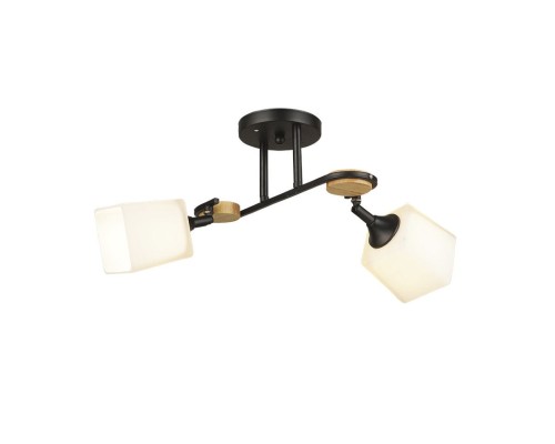 Потолочная люстра Ivetta 66582.01.14.02 Wedo Light Потолочная люстра Ivetta 66582.01.14.02 Wedo Light