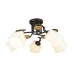 Потолочная люстра Ivetta 66582.01.14.05 Wedo Light