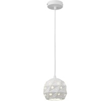 Подвесной светильник Delfina WE263.01.006 Wertmark