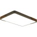 Потолочный светильник Alberro ZRS.01233.60 Zortes