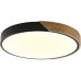 Потолочный светильник Alberro ZRS.01237.90 Zortes