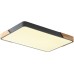Потолочный светильник Alberro ZRS.01277.60 Zortes