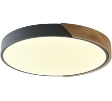 Потолочный светильник Alberro ZRS.01280.90 Zortes