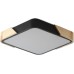 Потолочный светильник Alberro ZRS.01281.48 Zortes