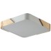 Потолочный светильник Alberro ZRS.01285.24 Zortes