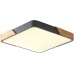 Потолочный светильник Alberro ZRS.01288.36 Zortes