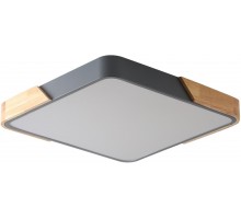 Потолочный светильник Alberro ZRS.01288.60 Zortes