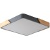 Потолочный светильник Alberro ZRS.01288.60 Zortes
