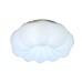 Потолочный светильник Soft ZRS.1118.2 Zortes