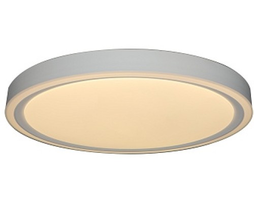 Потолочный светильник Bella ZRS.1200.04 Zortes Потолочный светильник Bella ZRS.1200.04 Zortes