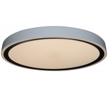 Потолочный светильник Bella ZRS.1201.11 Zortes
