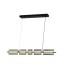 Подвесной светильник Loft ZRS.1802.100 Zortes