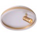 Потолочный светильник Raizy ZRS.1888.04 Zortes
