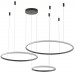 Подвесной светильник Ringolight ZRS.33320.120F Zortes