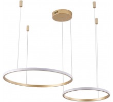 Подвесной светильник Ringolight ZRS.33320.63F Zortes