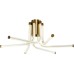 Потолочная люстра Lora ZRS.57784.06 Zortes
