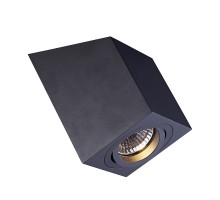 Точечный светильник Roncub Sl ACGU10-137 Zumaline