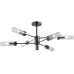 Потолочная люстра Evolution 15609-6 AN+CL iLamp