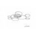 Потолочная люстра Ring Star 9004-8L-X WH iLedex
