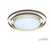 Потолочный светильник Summery B6308-101W/620 WH iLedex