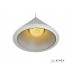 Подвесной светильник Moon WL8858-5 WH iLedex