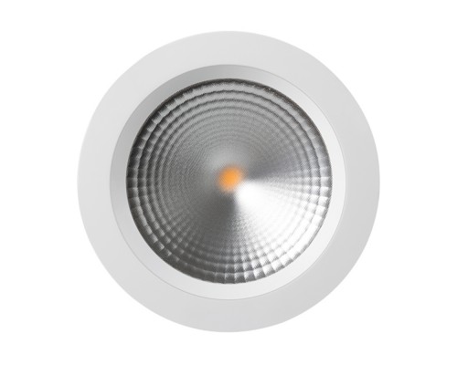 Светодиодный светильник LTD-187WH-FROST-21W White 110deg 021495 Arlight Светодиодный светильник LTD-187WH-FROST-21W White 110deg 021495 Arlight