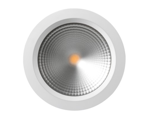 Светодиодный светильник LTD-220WH-FROST-30W White 110deg 021497 Arlight Светодиодный светильник LTD-220WH-FROST-30W White 110deg 021497 Arlight