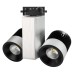 Светодиодный светильник LGD-2238SB-2x15W White 24deg 022045 Arlight