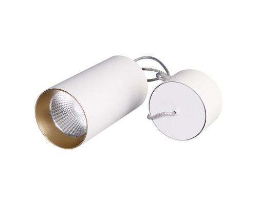 Светильник подвесной SP-POLO-R85-2-15W Warm White 40deg (White, Gold Ring) 022944 Arlight