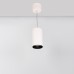 Светильник подвесной SP-POLO-R85-2-15W Day White 40deg (White, Black Ring) 022946 Arlight