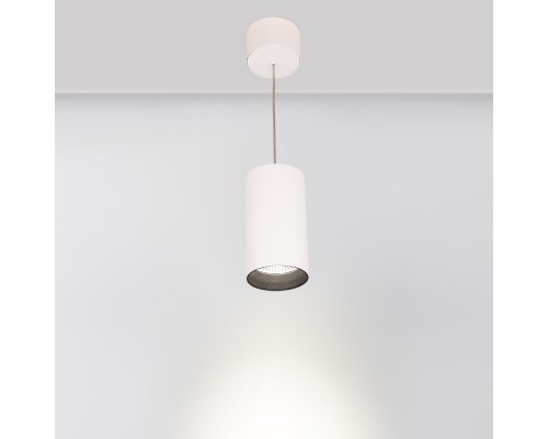 Светильник подвесной SP-POLO-R85-2-15W Day White 40deg (White, Black Ring) 022946 Arlight