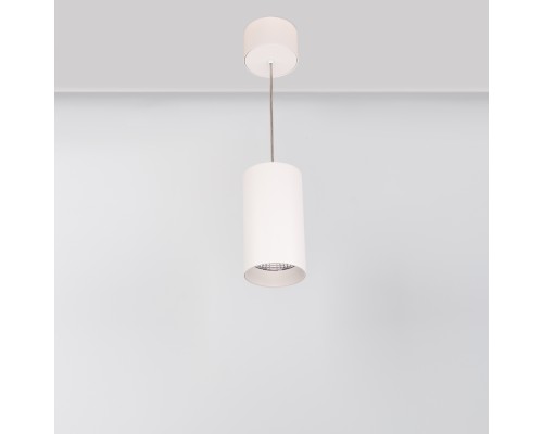 Светильник подвесной SP-POLO-R85-2-15W Warm White 40deg (White, White Ring) 022949 Arlight