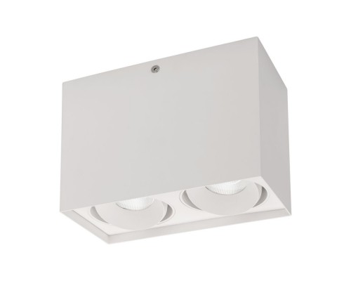Светильник SP-CUBUS-S100x200-2x11W Day4000(WH, 40 deg, 230V) 023083(1) Arlight