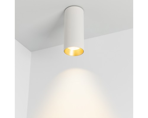 Светильник SP-POLO-SURFACE-R65-8W Warm3000 (WH-GD, 40 deg) 027511 Arlight Светильник SP-POLO-SURFACE-R65-8W Warm3000 (WH-GD, 40 deg) 027511 Arlight