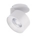 Модуль светодиодный PLURIO-LAMP-R77-9W Day4000 (WH, 36 deg, 2-2, 38V, 200mA) 030253 Arlight