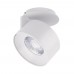 Модуль светодиодный PLURIO-LAMP-R77-9W Warm3000 (WH, 36 deg, 2-2, 38V, 200mA) 031828 Arlight